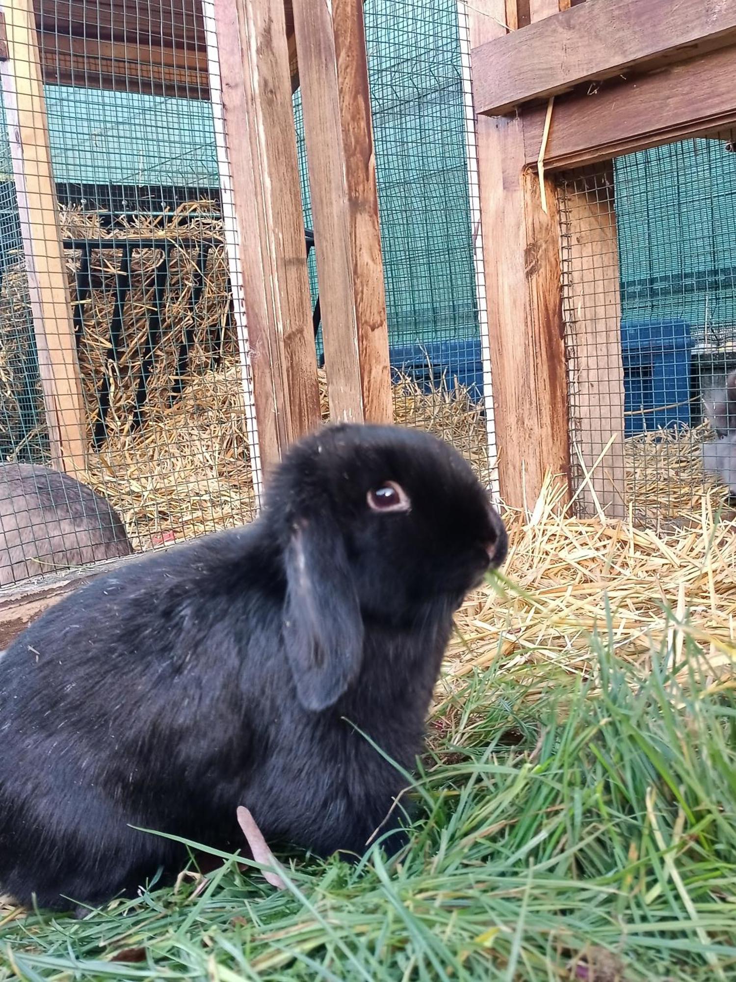 Willa Wypoczynek Sobienie Jeziory Zewnętrze zdjęcie